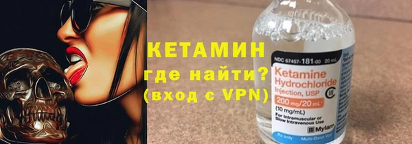 гашик Алексин