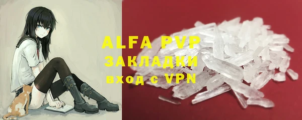 гашик Алексин