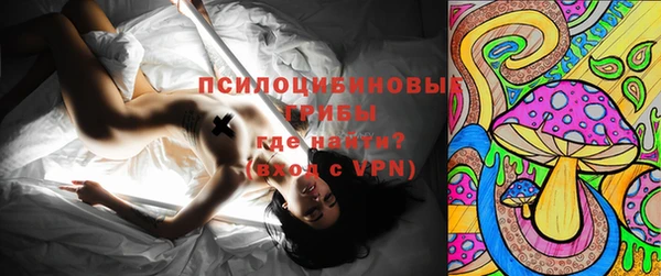 гашик Алексин