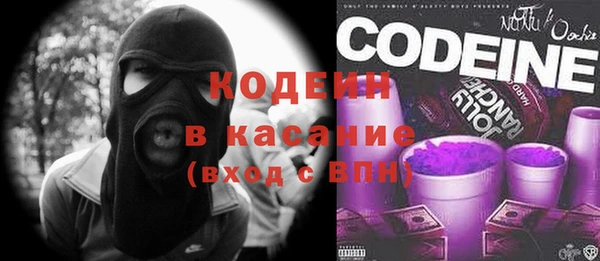 гашик Алексин