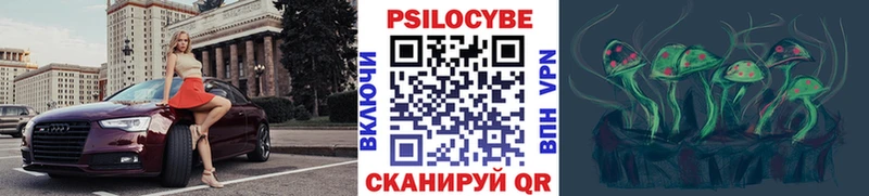 Псилоцибиновые грибы мицелий  маркетплейс телеграм  Арзамас  блэк спрут tor 